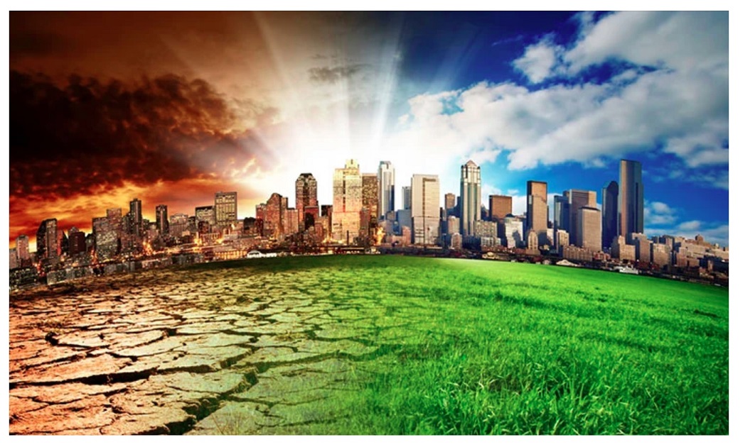 climate change and impact of trees